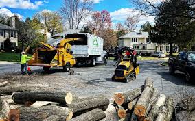Best Fruit Tree Pruning  in Blue Ridge, AL