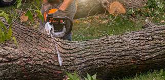 Lawn Irrigation Installation and Maintenance in Blue Ridge, AL