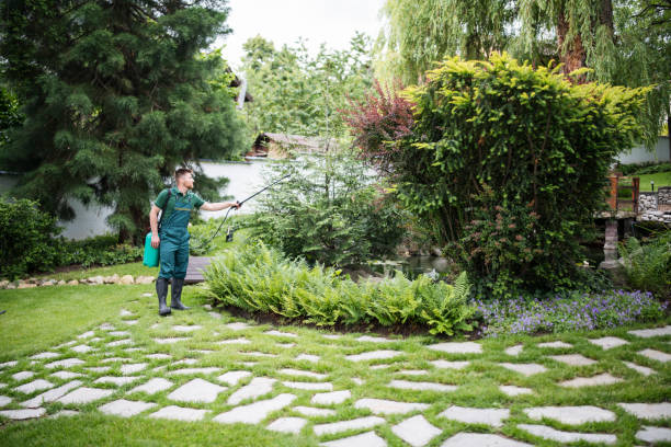 Trusted Blue Ridge, AL Tree Services Experts